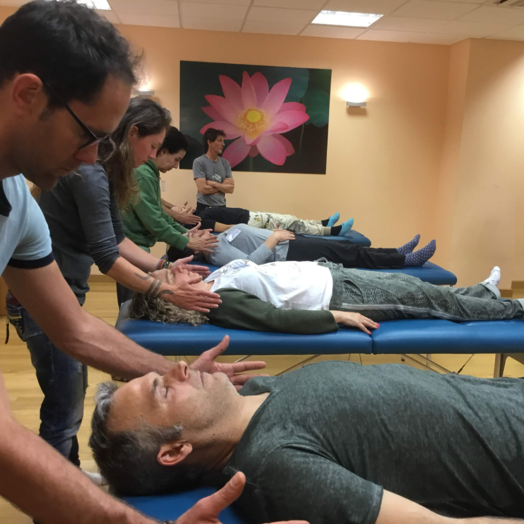 nimble_asset_FHV-Nivel-2-IG-2